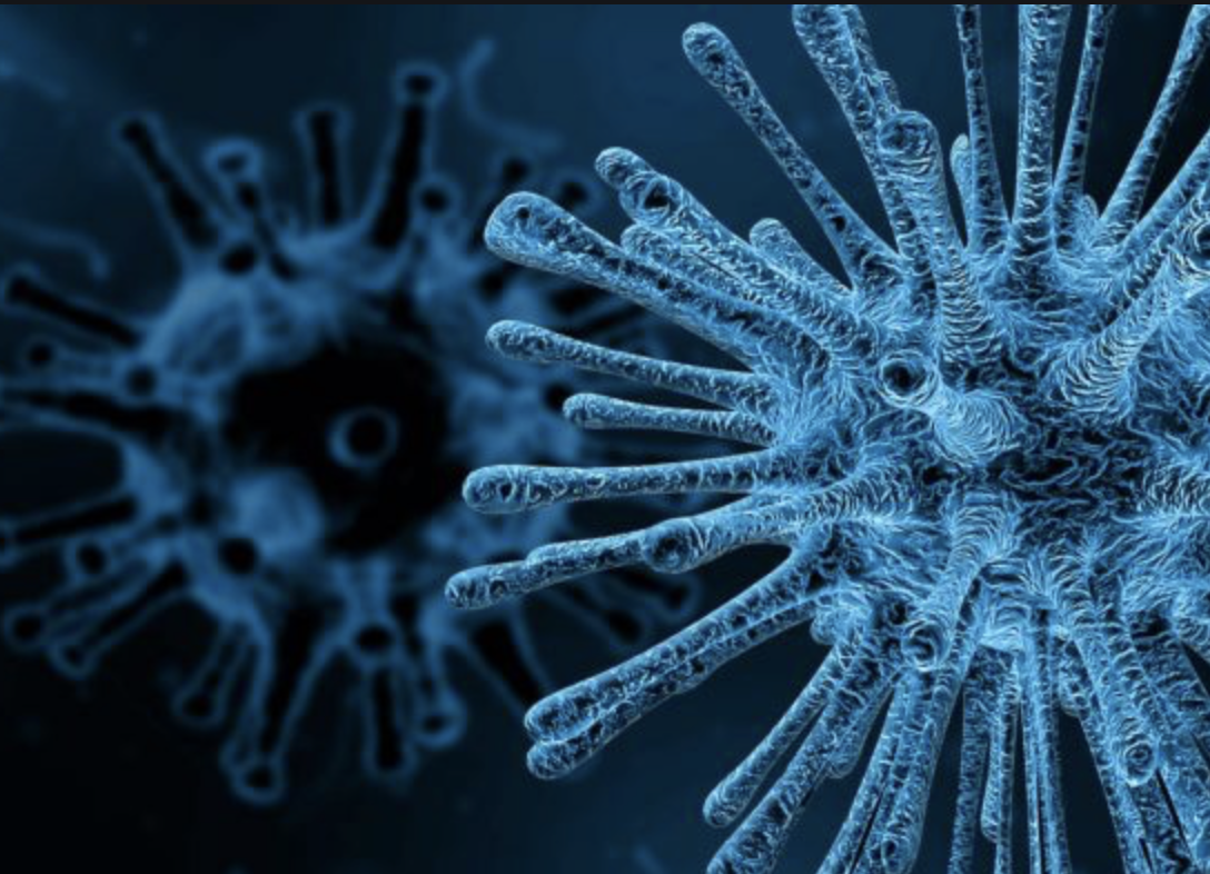 Неизвестный вирус, поражающий бактерии в теле человека, ввел ученых в ступор
