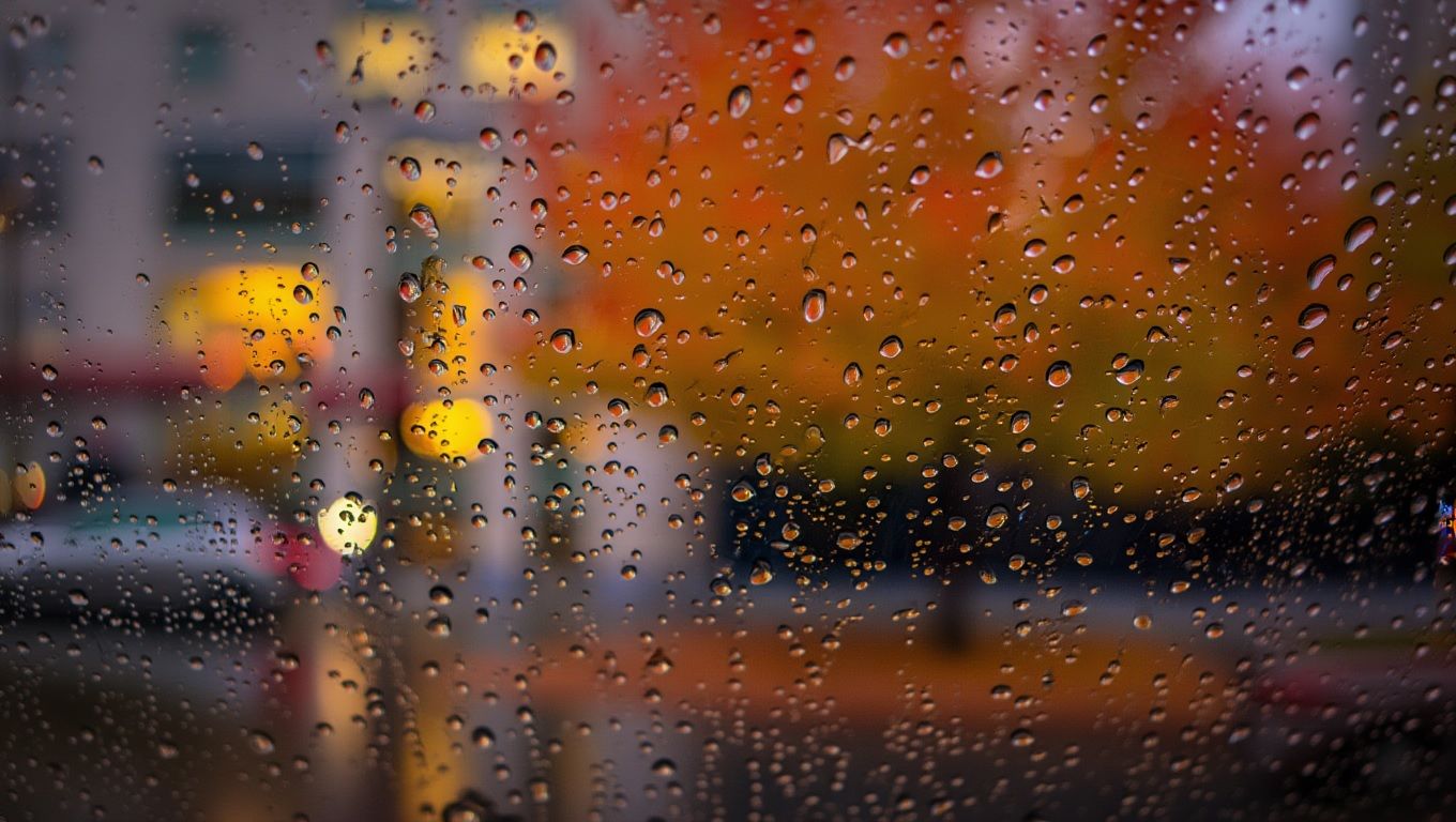 Кому завтра захватить зонт: в каких областях Украины в понедельник ожидается дождь