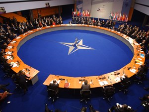 Парламентская ассамблея НАТО: Украина может стать членом Альянса