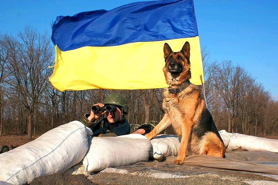Украинская армия дисциплинированно соблюдает режим тишины! Подтверждено сепаратистами "ЛДНР"