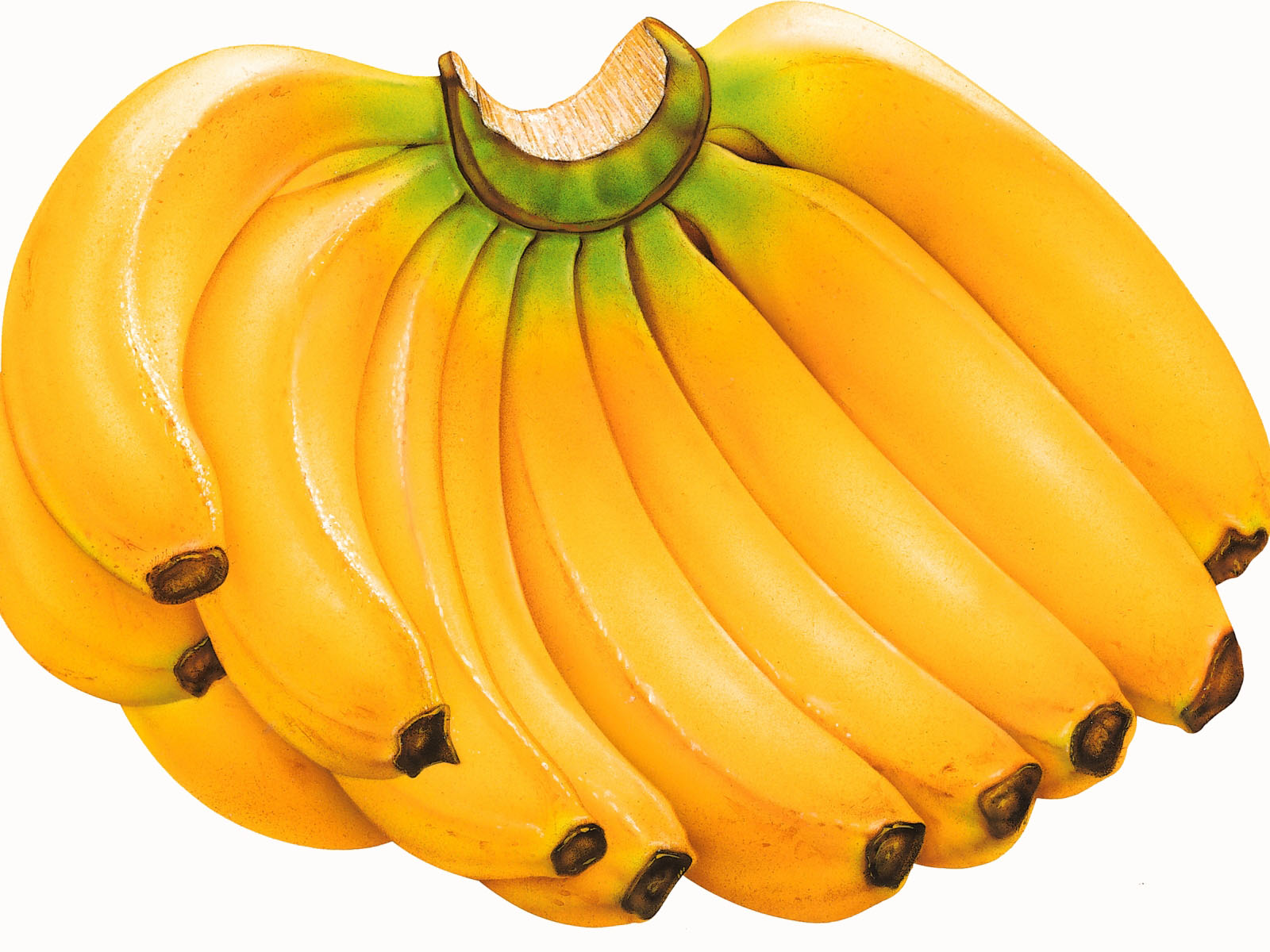 Бананы помогут победить смертельные болезни: американские ученые сделали сенсационное открытие