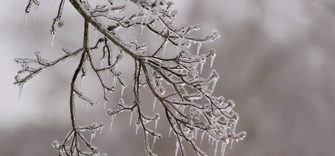 Морозы отступают: синоптик предупредила о переменах погоды в феврале и сообщила, к чему готовиться украинцам