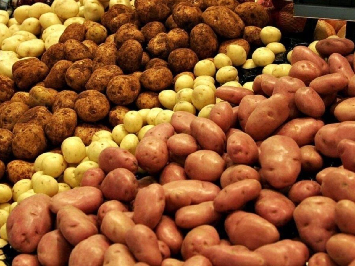 Беларусь останется без украинского картофеля - Магалецкая сообщила детали