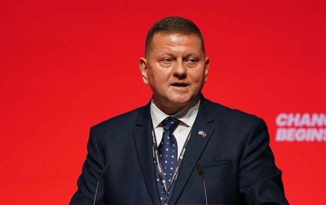 ​Залужный обвинил Зеленского в провале контрнаступления 2023 года