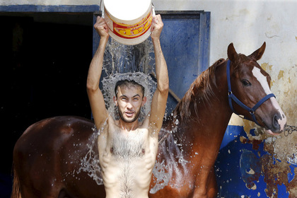 Предсказана гибель тысяч людей от адской жары