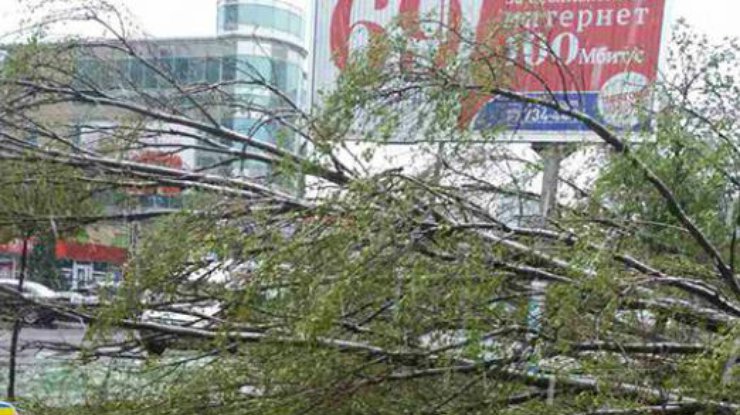 Резкое ухудшение погоды в Украине: сильнейший ветер перевернул грузовик на Херсонщине - один человек погиб, двое детей получили травмы - ГСЧС