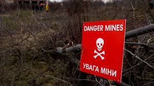 Італія може відправити військових саперів в Україну, але за однієї умови