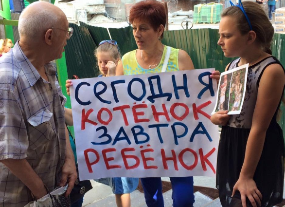 "Сегодня котенок – завтра ребенок!" – жестокое убийство котят в столице стало поводом для акции протеста