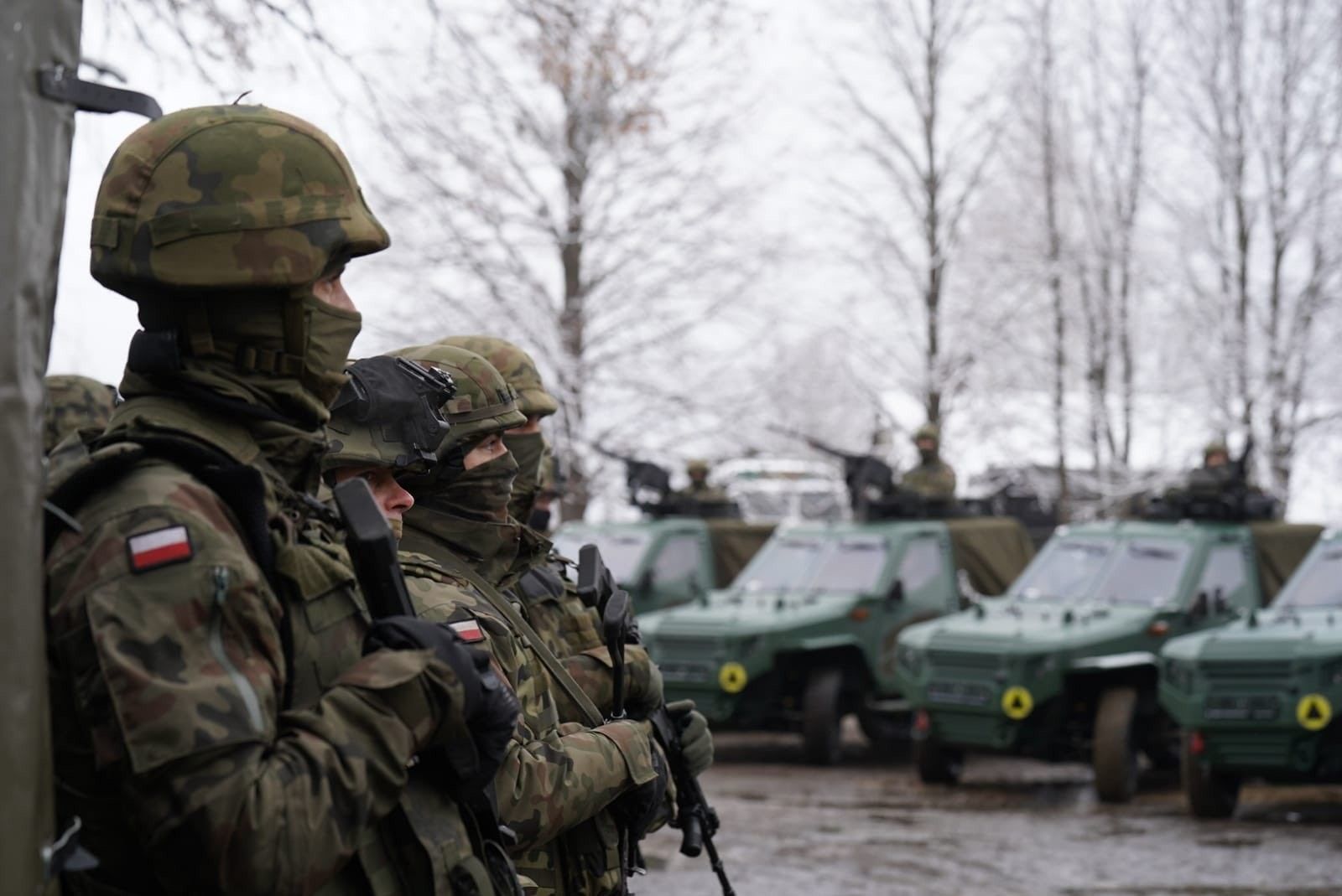 Ход на опережение: Der Spiegel узнал, в каком случае страны Балтии и Польша введут войска в Украину