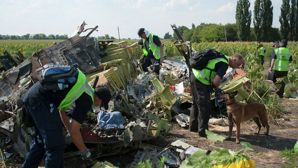 Украинские специалисты обследуют место крушения "Боинга" в Донецкой области