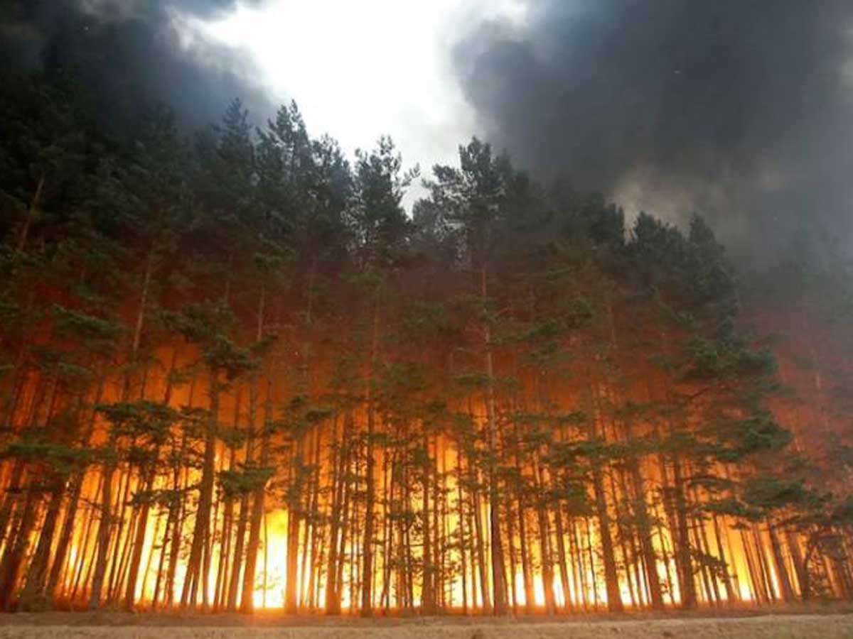 Людям трудно дышать от гари: пожары в Сибири разрослись на 3 млн гектаров