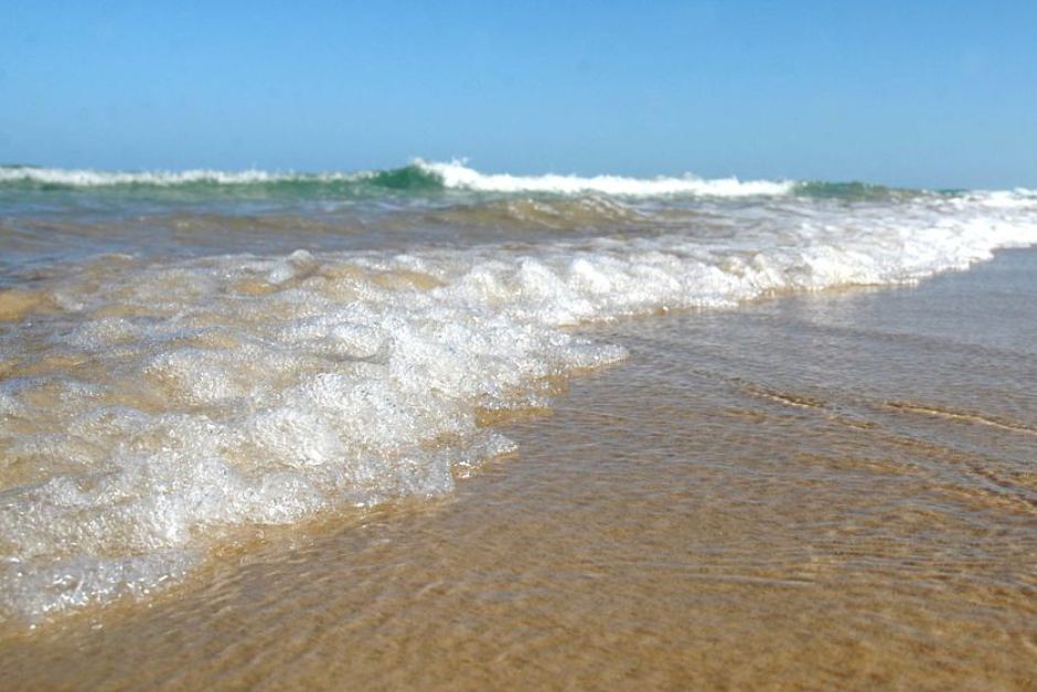 В Австралии туристы на пляже обнаружили неизвестное существо: СМИ показали фото пугающей находки