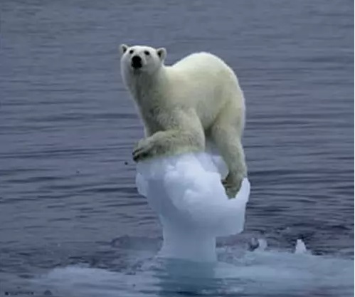 Глобальное потепление: 2014 год бьет температурные рекорды - ученые
