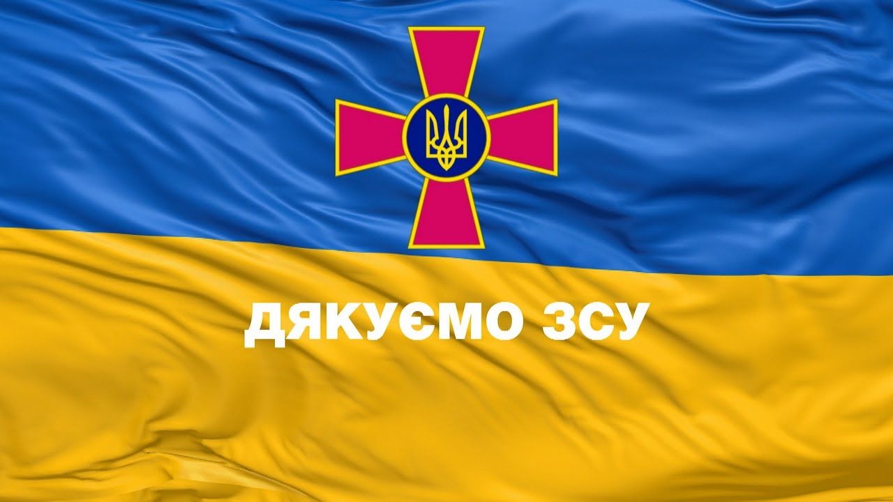 ​"Неудобства для одних и отчаянной борьбы за выживание для других", – Левин назвал важную особенность ВСУ