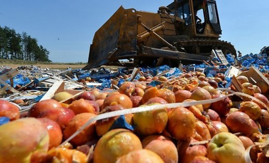 Бедность населения зашкаливает, маразм крепчает: за два года ответных санкций по приказу Путина в России было уничтожено 17 тыс. тонн продуктов