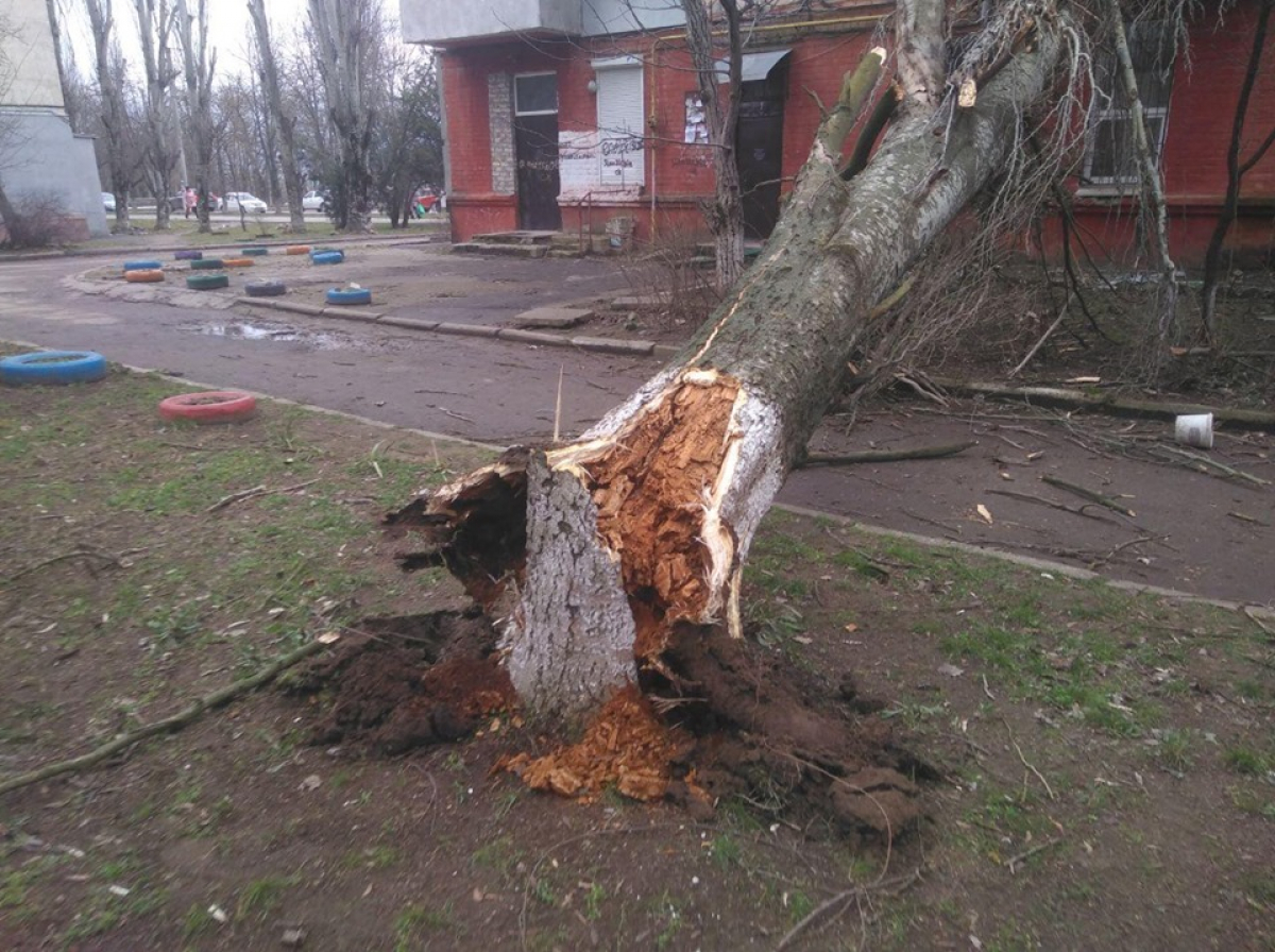 Ураган в Херсоне: деревья падают на балконы и проезжую часть - кадры