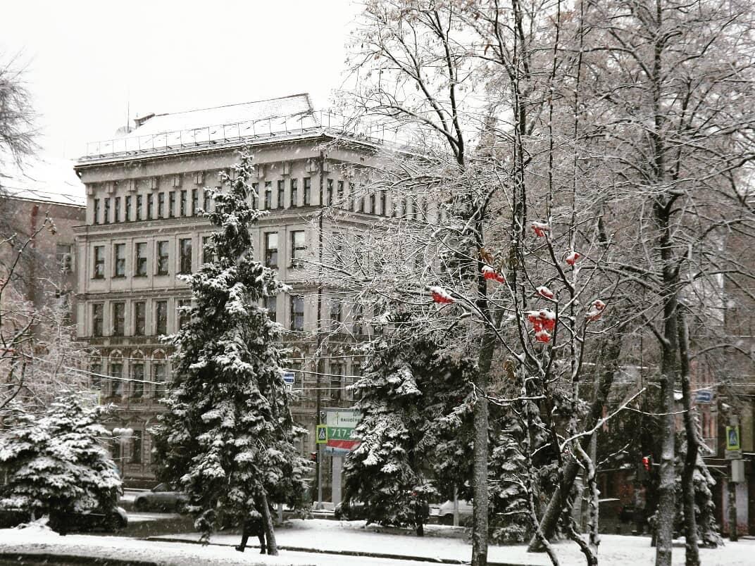 В Днепре выпал первый снег, подарив жителям города зимнее настроение и красивые виды: яркие кадры в Сети