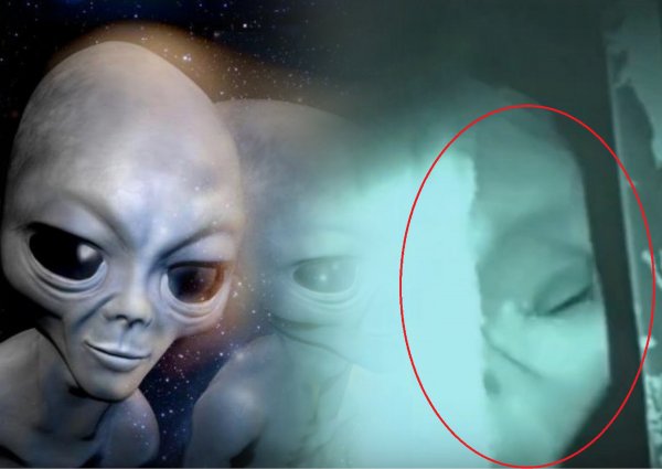 Впервые показали, как выглядят пришельцы из Зоны 51: это даже пострашнее Нибиру - фото