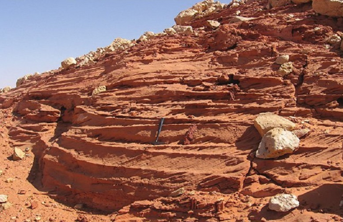 Ученые раскрыли тайну пустыни Сахара: "Человек не продержался бы здесь очень долго"