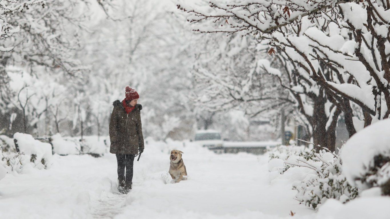 Настоящая зима возвращается: синоптики рассказали, каким будет начало февраля в Украине