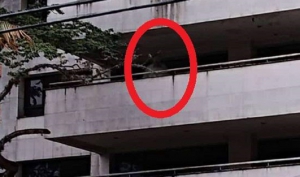 Жительница Колумбии случайно сфотографировала призрака легендарного наркобарона Пабло Эксобара на балконе отеля. Кадры