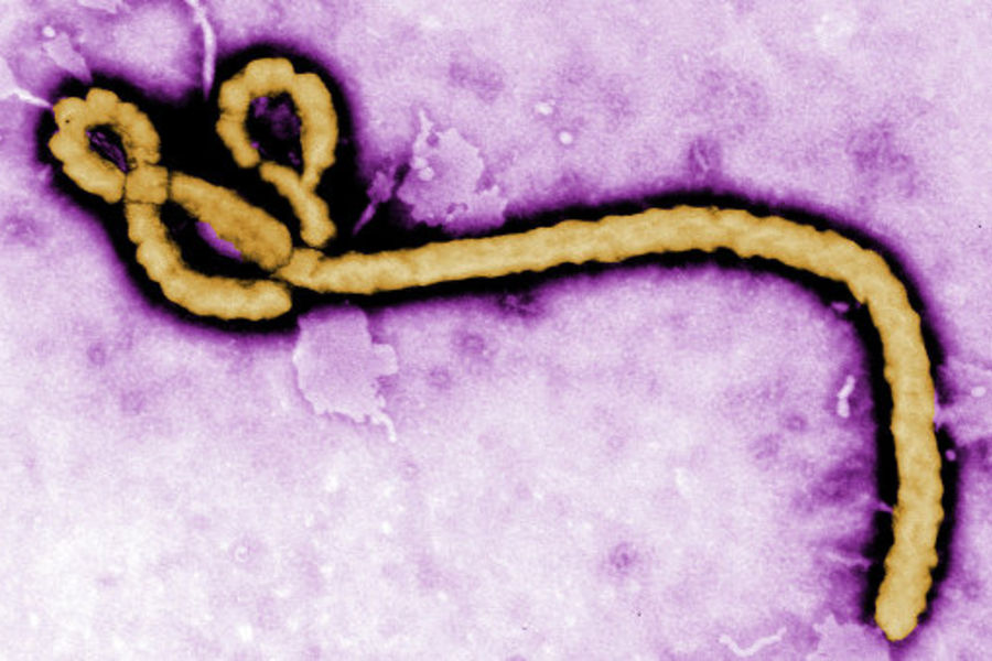 Правительство проинформировало американцев о мерах безопасности при Эболе