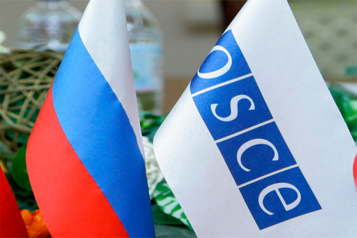 Украинский дипломат про дипломатию РФ в ОБСЕ: "Оскорбляют, унижают, по "матушке" проходятся"