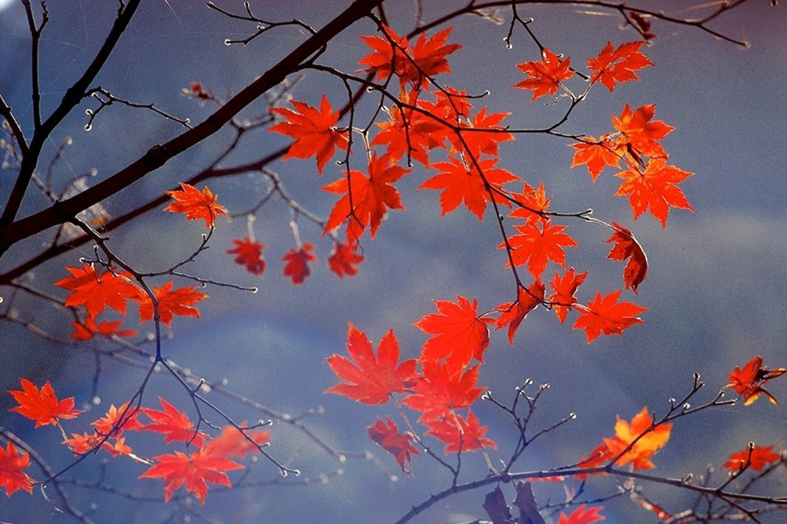 Холодный фронт с дождями идет в Украину: в каких областях ждать непогоду 4 ноября