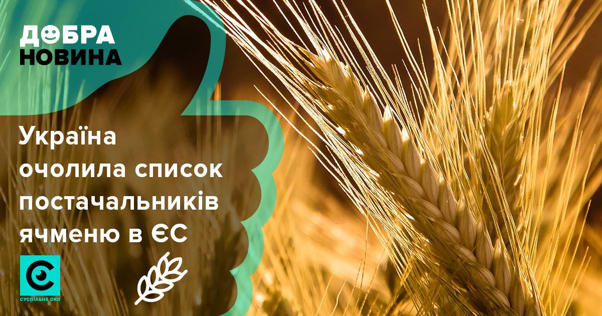 Украину назвали житницей Европы: Киев стал главным поставщиком ячменя в страны Европейского Союза - названы цифры