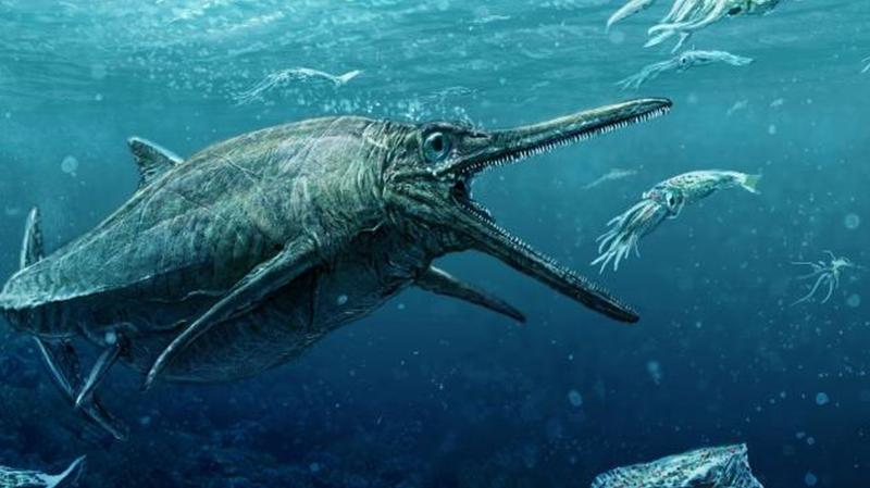 В Великобритании ученые обнаружили древнего ихтиозавра с "сюрпризом" внутри - кадры
