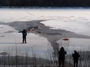 Трагедия в Киеве: под лед провалился и утонул мужчина, который пытался спасти собаку