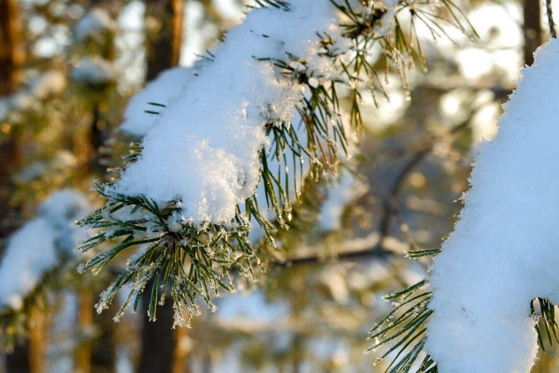 Зима не за горами: когда в Украину придут первые существенные морозы