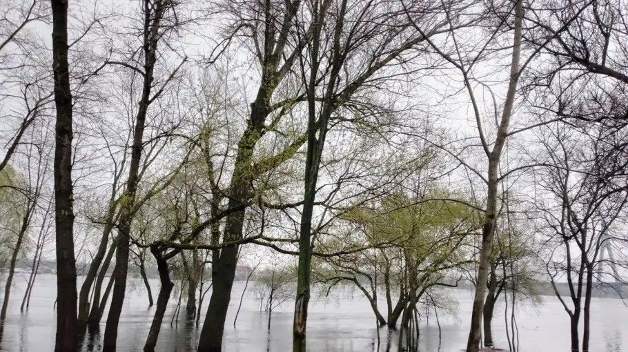 С потеплением в Украине начинаются паводки: какие области под угрозой – Госводагентство