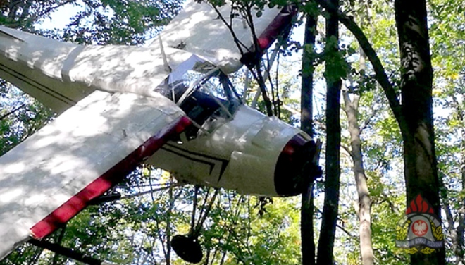 В Польше нашли в лесу таинственный самолет, на котором, возможно, переправляли контрабанду сигарет из Украины