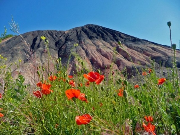 Ситуация в Донецке и Луганске: новости, курс валют, цены на продукты, хроника событий 02.10.2016