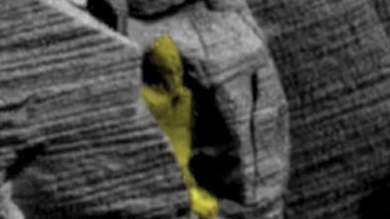 На фотоснимке 12-летней давности уфолог Уоринг на Марсе нашел гробницу египетского правителя: кадры 