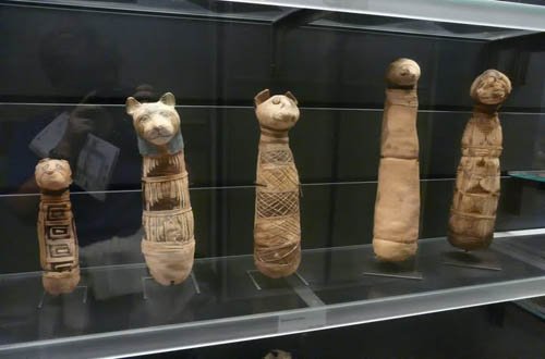 ​Скандальное открытие: в Древнем Египте подделывали мумии животных