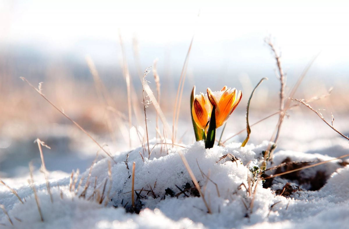 В Украине резкая смена погоды, снег - синоптик рассказала, когда 