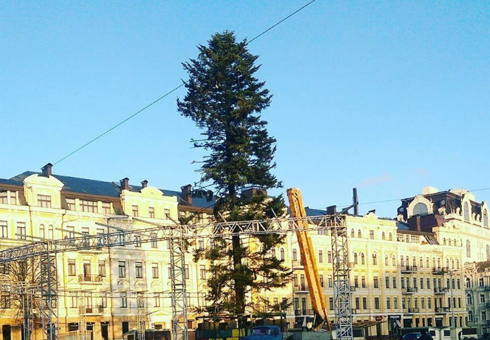 "И это наша пушистая красавица?" – украинцы пришли в ужас от главной елки страны – кадры