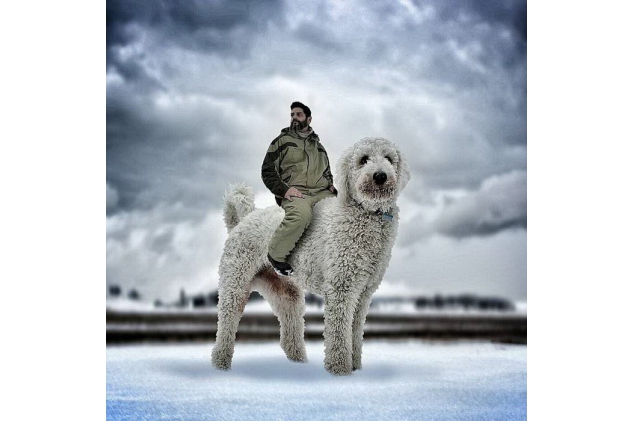 ​Американец сделал свою собаку знаменитой при помощи Photoshop и Instagram