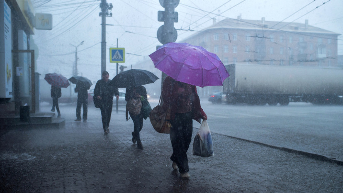 Заморозки и проливные дожди: прогноз погоды в Украине до конца мая