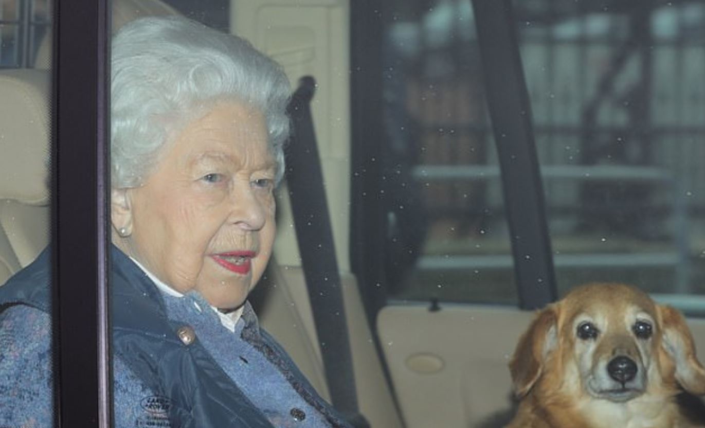 С собакой на руках: королева Елизавета II, в страхе не перенести коронавирус, уехала из Лондона 