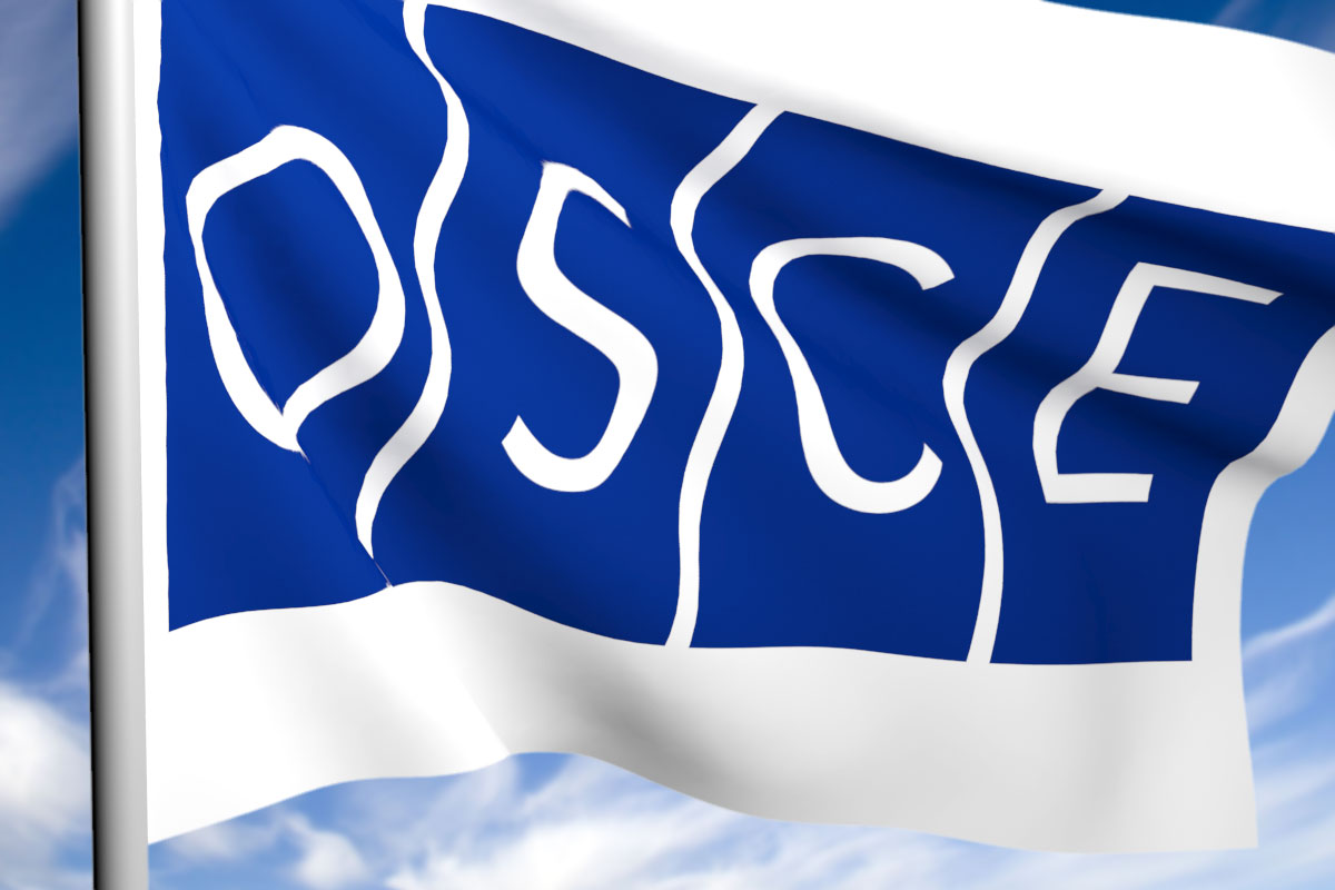 Сербия стала председателем в ОБСЕ на полгода