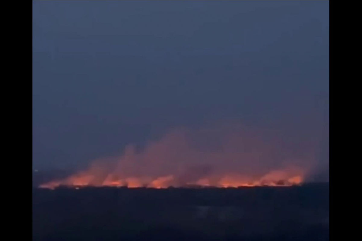 ​Огромный пожар охватил Киев: пылают десятки гектар в экопарке "Осокорки"