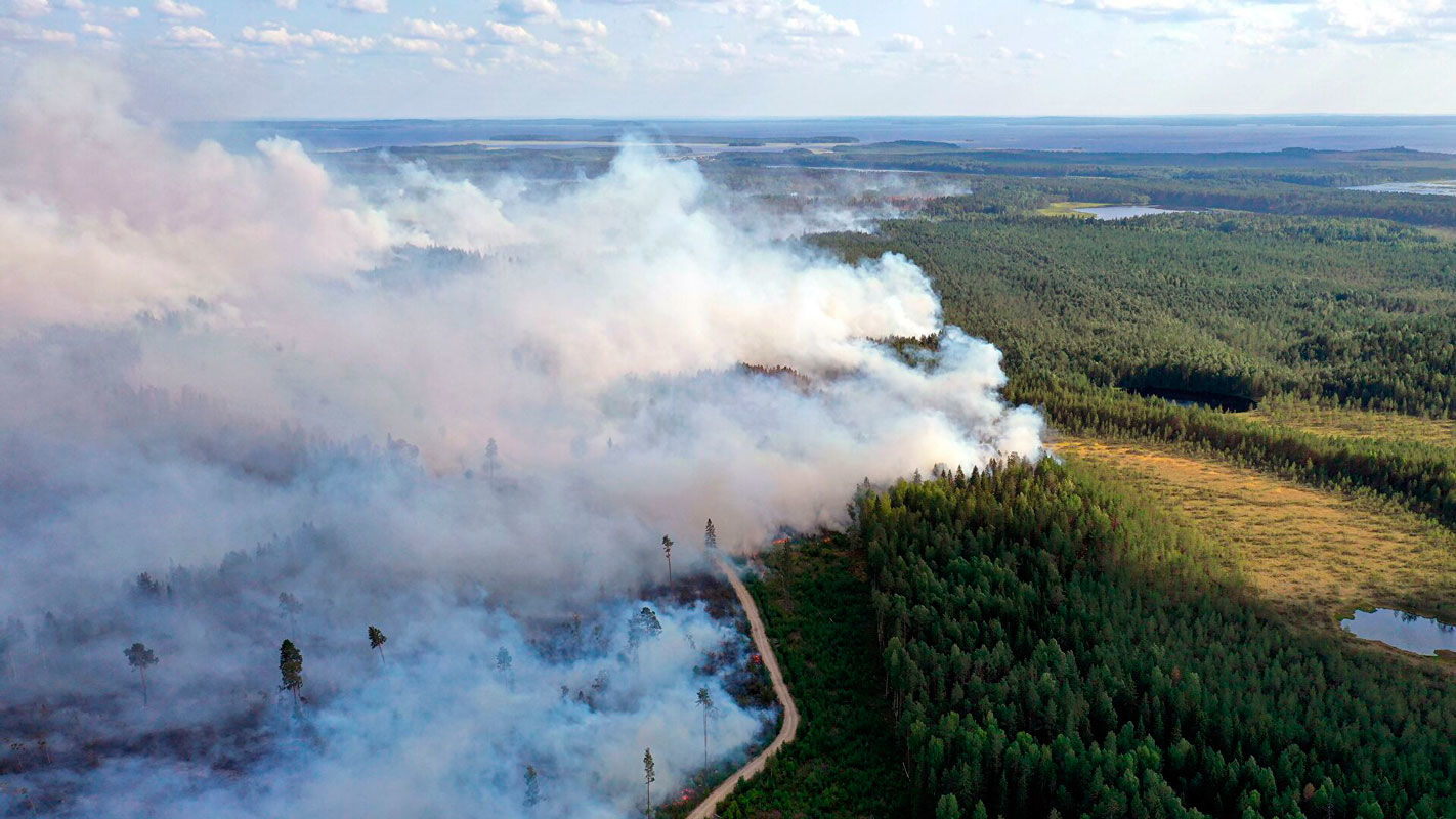 ​Лесные пожары в Карелии и Якутии: огонь уничтожил площадь размером со Швейцарию