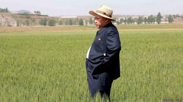 В Северной Корее сильнейшая за 100 лет засуха