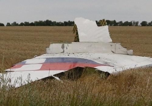 На место крушения малазийского Боинга в Донбассе прибыли международные представители 