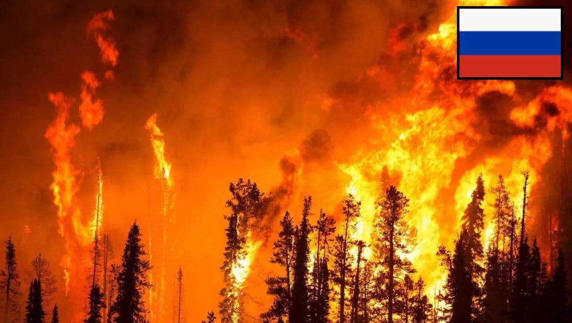 Россия в огне: Сибирь охватили масштабные лесные пожары – людей срочно готовят к эвакуации