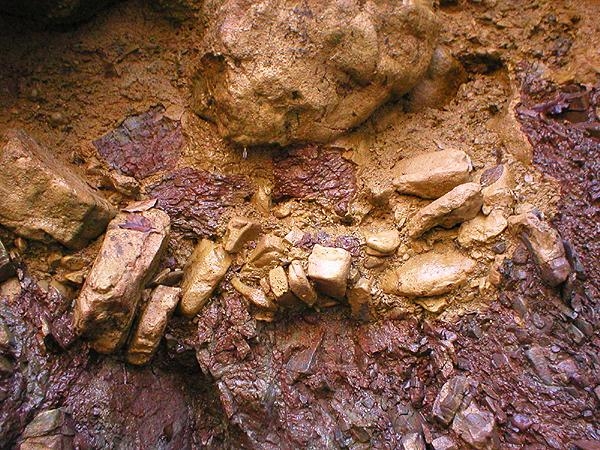 ​В Алтайском крае найдено крупное месторождение золота