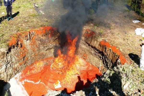 В России сожгли 206 килограммов икры из США, предназначавшейся Украине